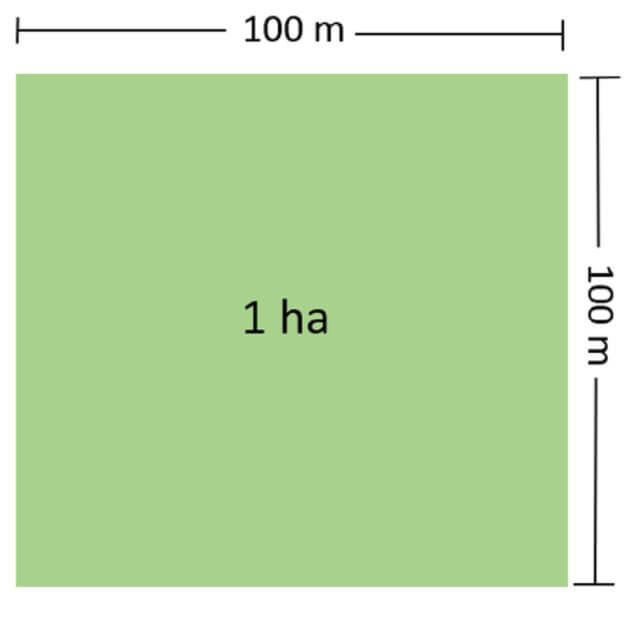 1 ha bằng bao nhiêu m2