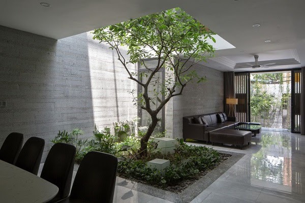 Thiết kế giếng trời