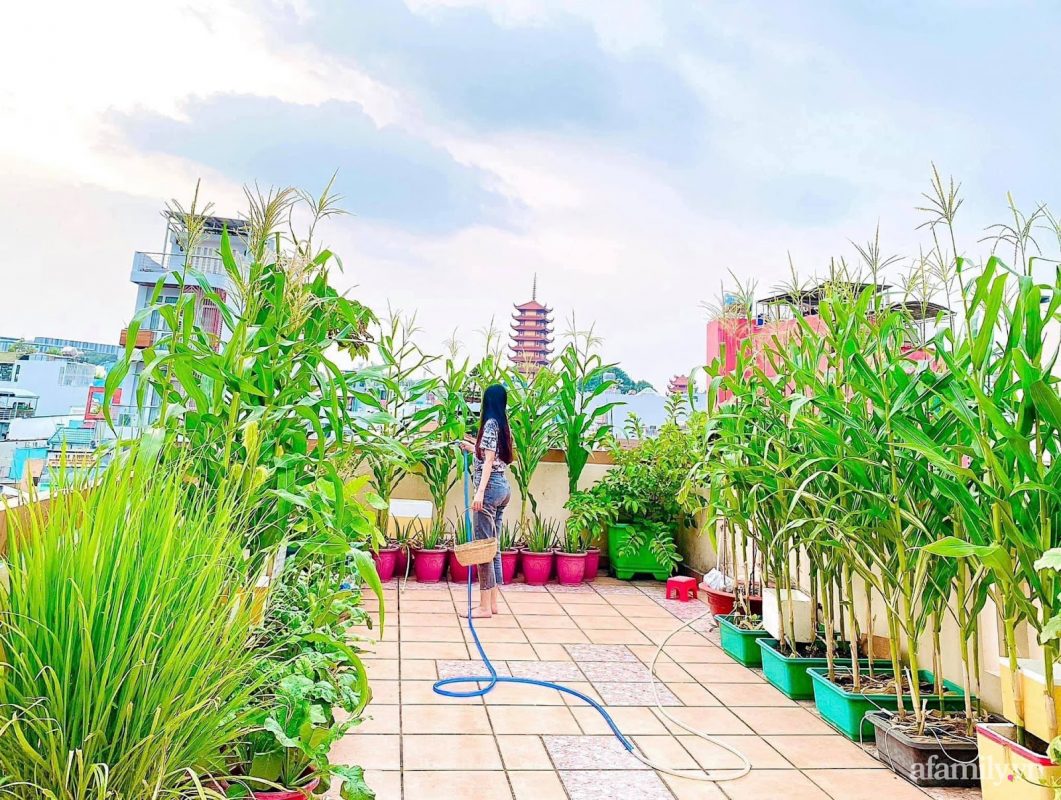 Sân vườn tầng thượng
