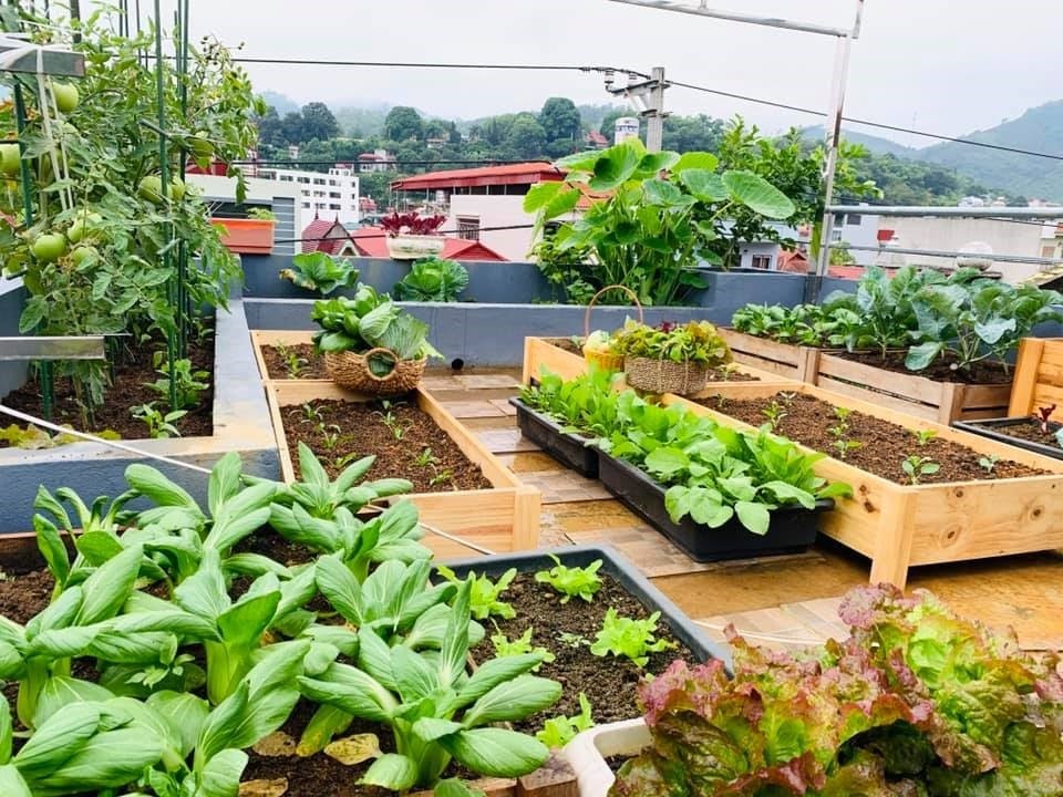 Sân vườn tầng thượng