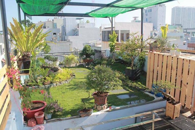cải tạo sân thượng thành vườn
