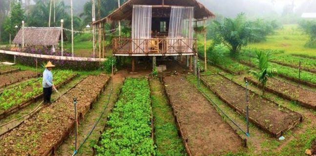 những mẫu nhà homestay đẹp