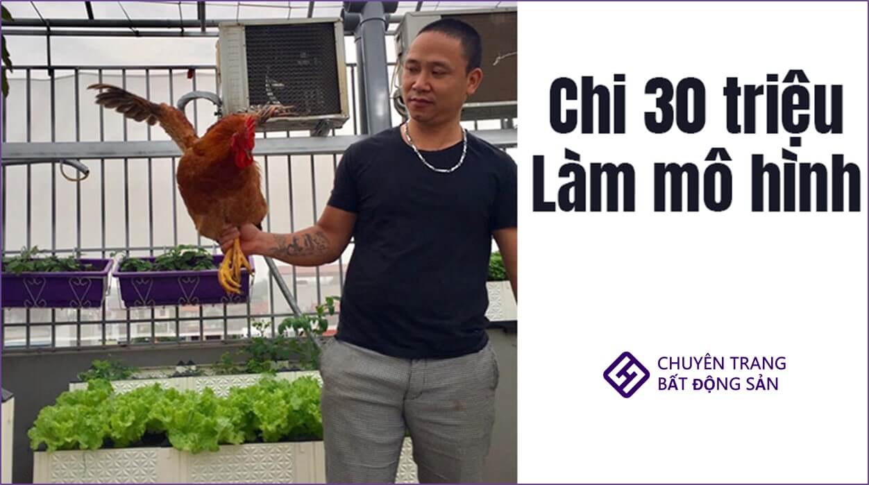 thiết kế chuồng gà trên sân thượng