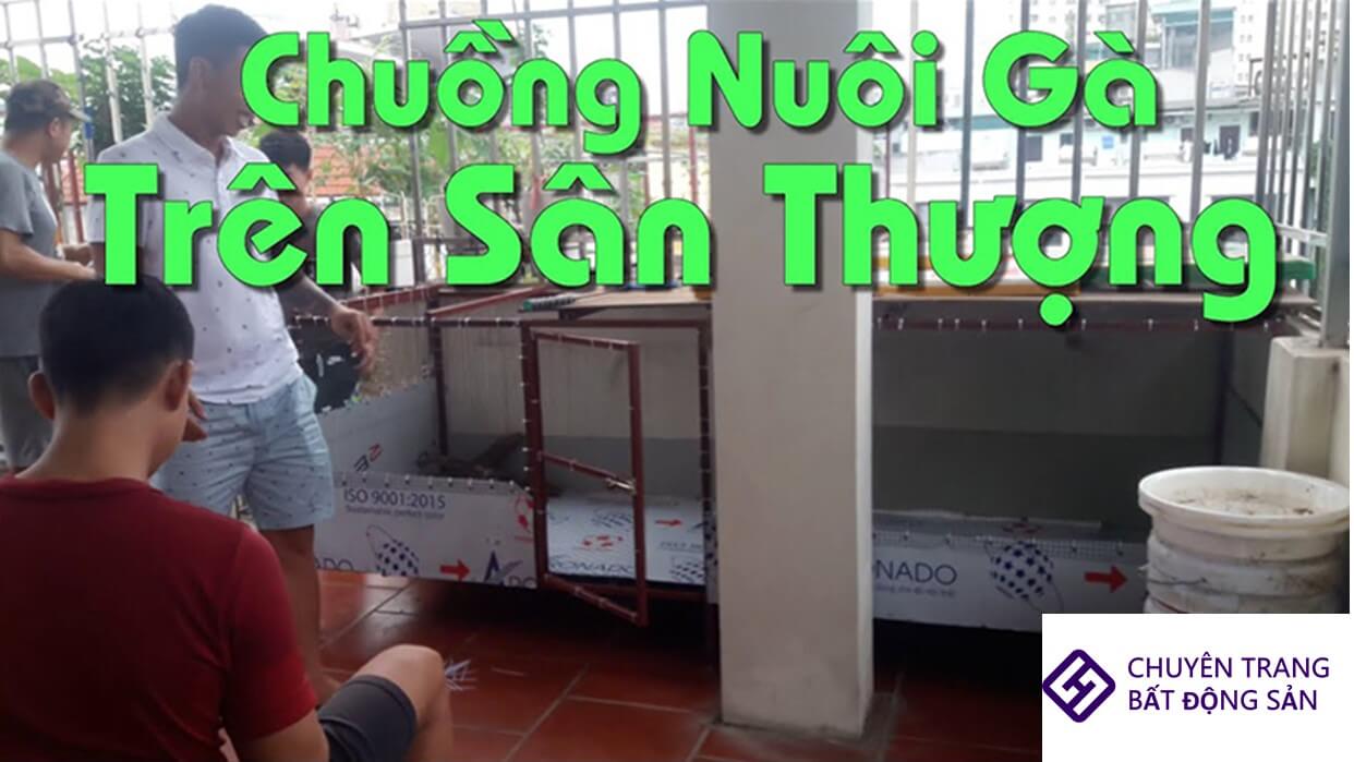 thiết kế chuồng gà trên sân thượng