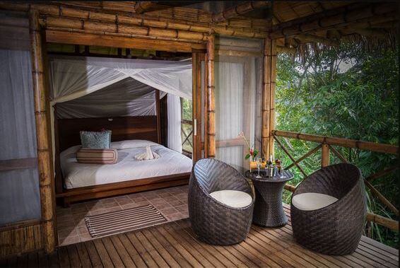 thiết kế homestay cho diện tích nhỏ